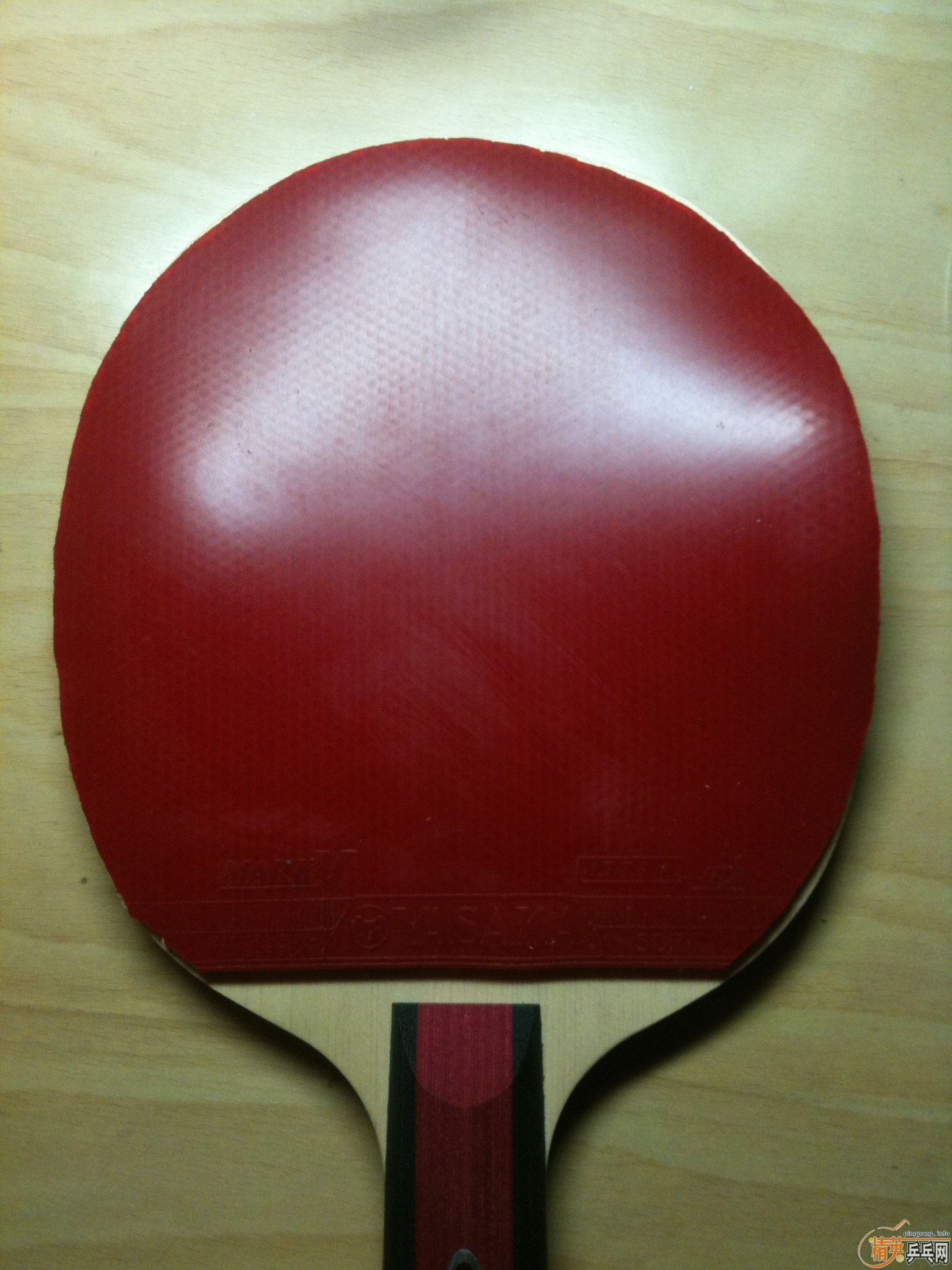 �������׽� ����