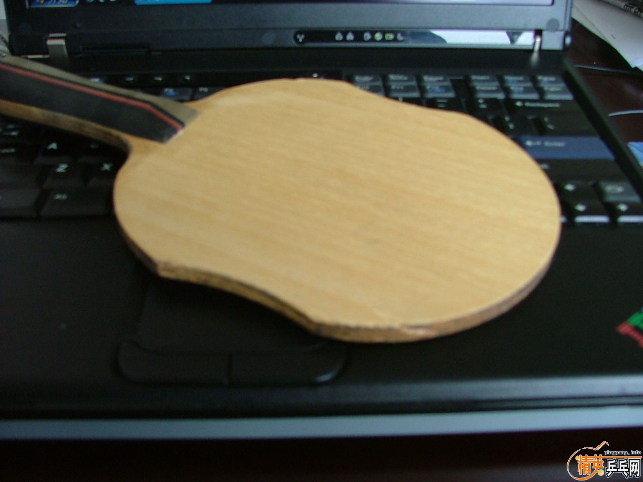 ��ͦ��������С����FL270��������׽�