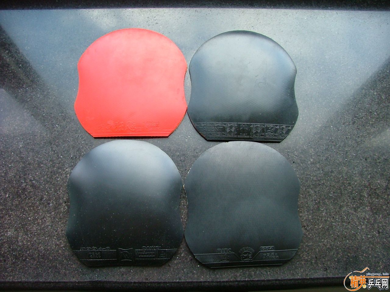 ��ͦ��������С����FL270��������׽�