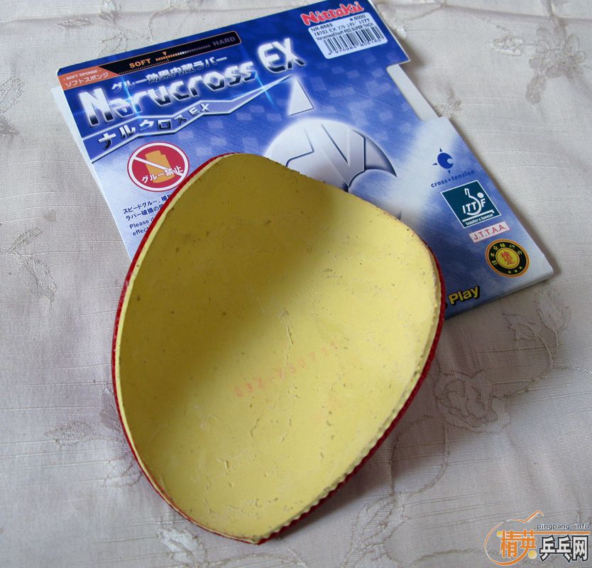 ������������ˡ�ʮ�־���ŵ����˹�׽���320Ԫ�����