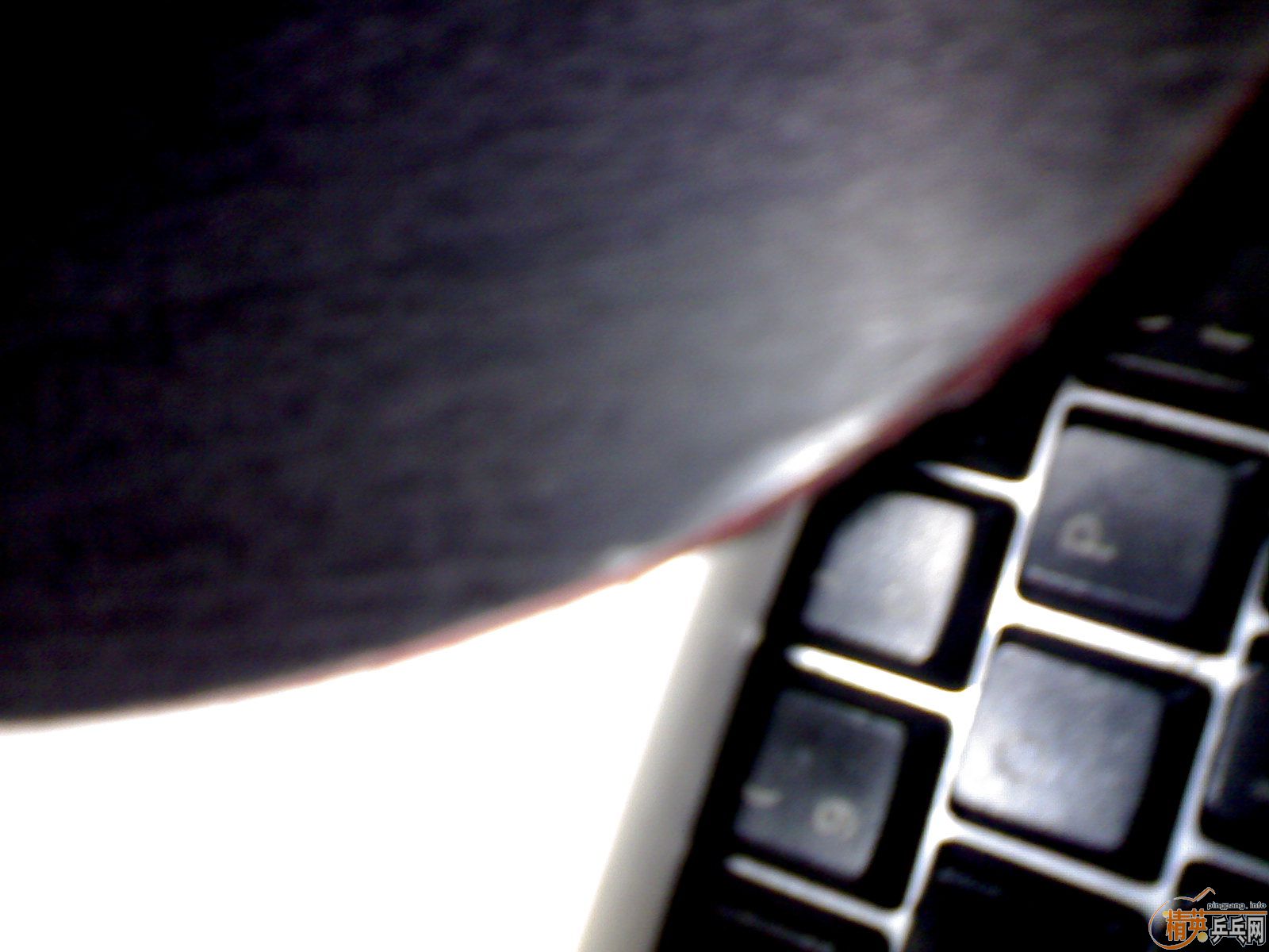 ���������׺�FL ����˼�������Ѱﶩ����