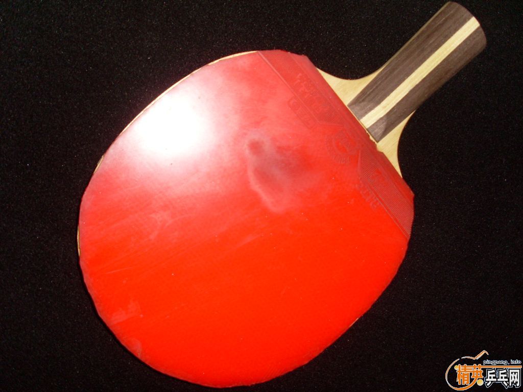 �����ѳ�һ��С����