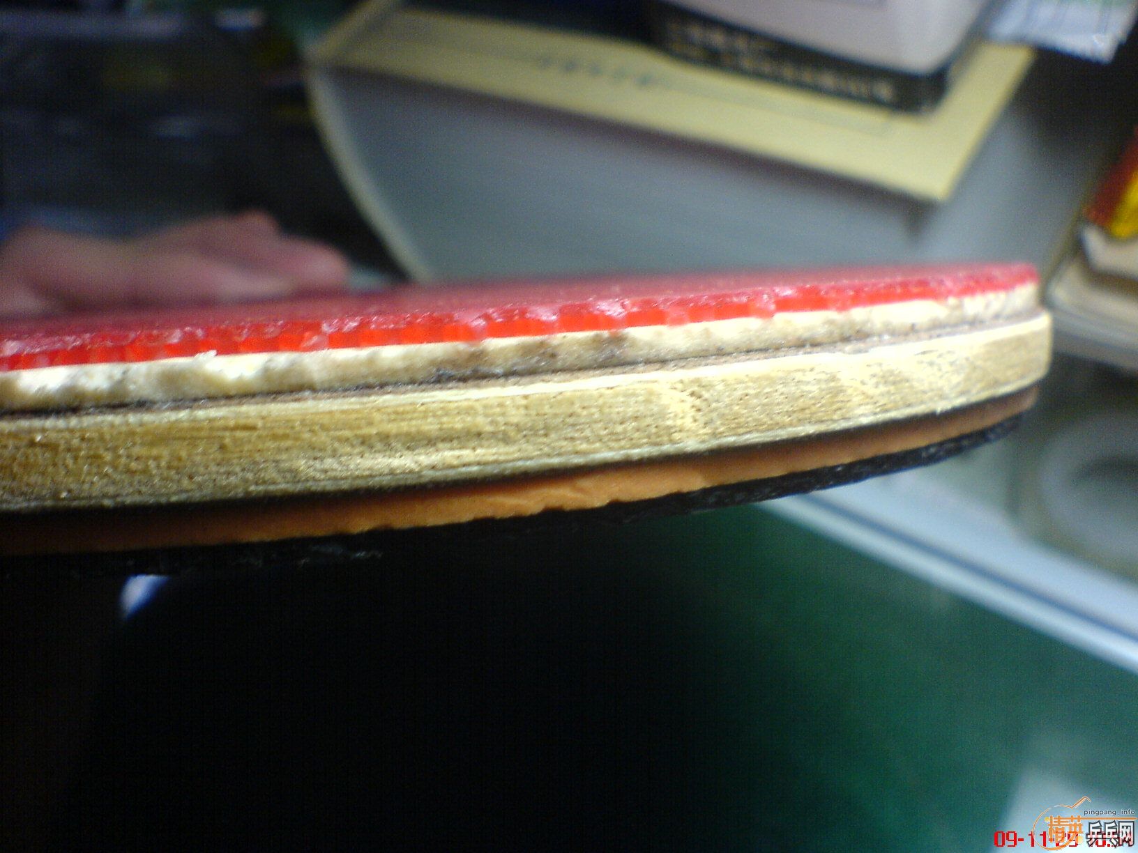 ������һ���µ�yeo~~~