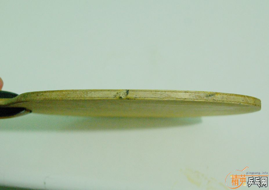 Ԥ��8��ľ����һ�ѣ�������ȸ���