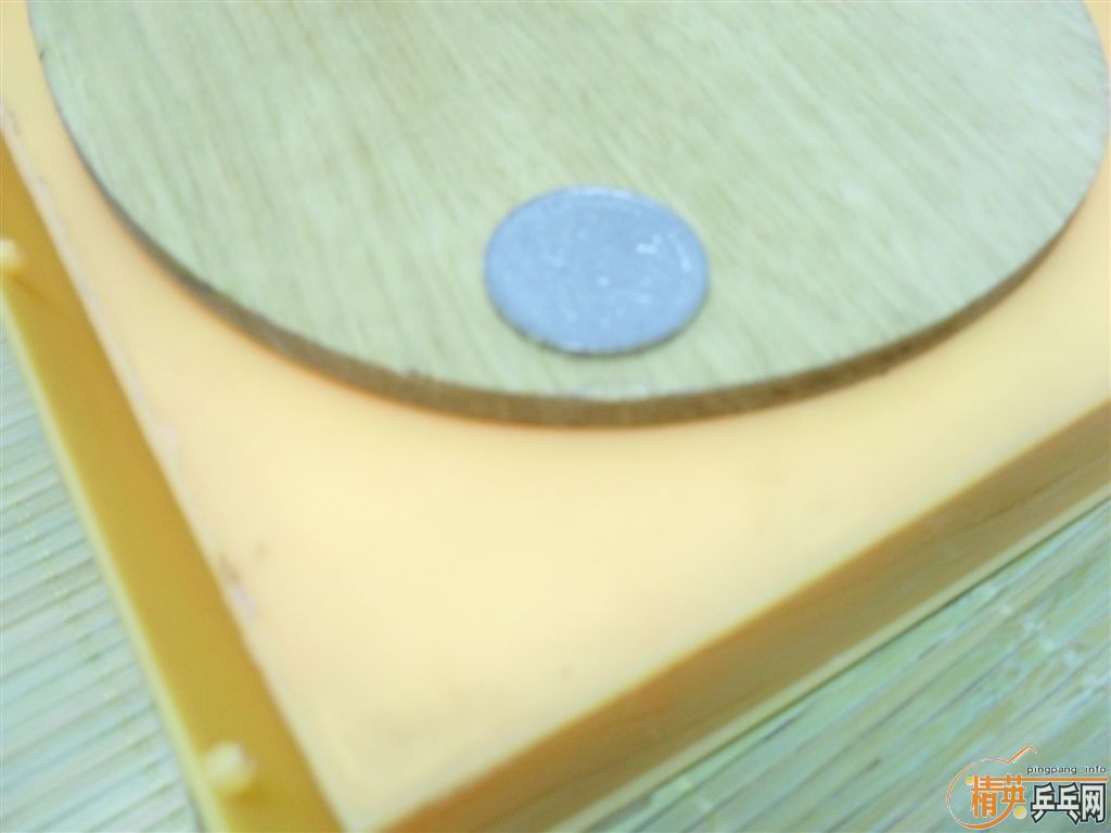 Ԥ��8��ľ����һ�ѣ�������ȸ���