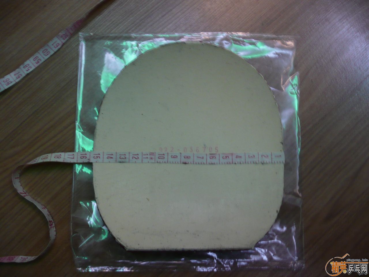 05��F1��NEO���3�������׽�����֧����