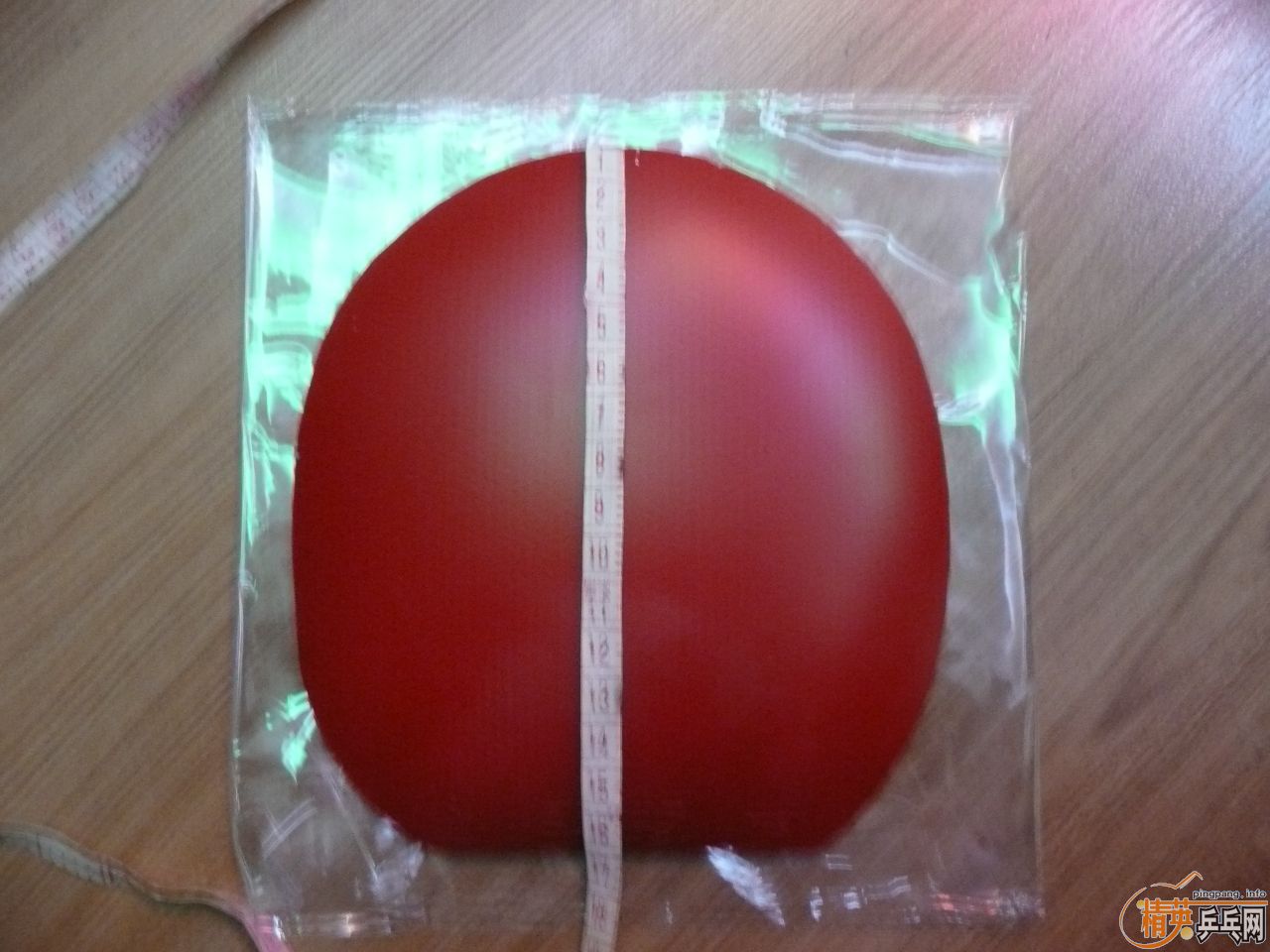 05��F1��NEO���3�������׽�����֧����