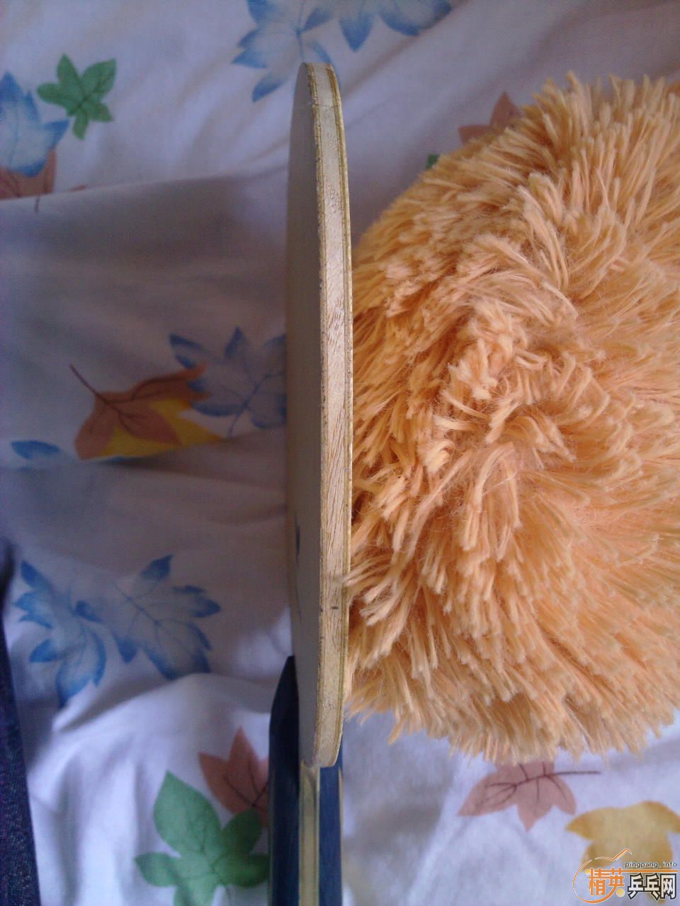 ������-ZLF-CS��