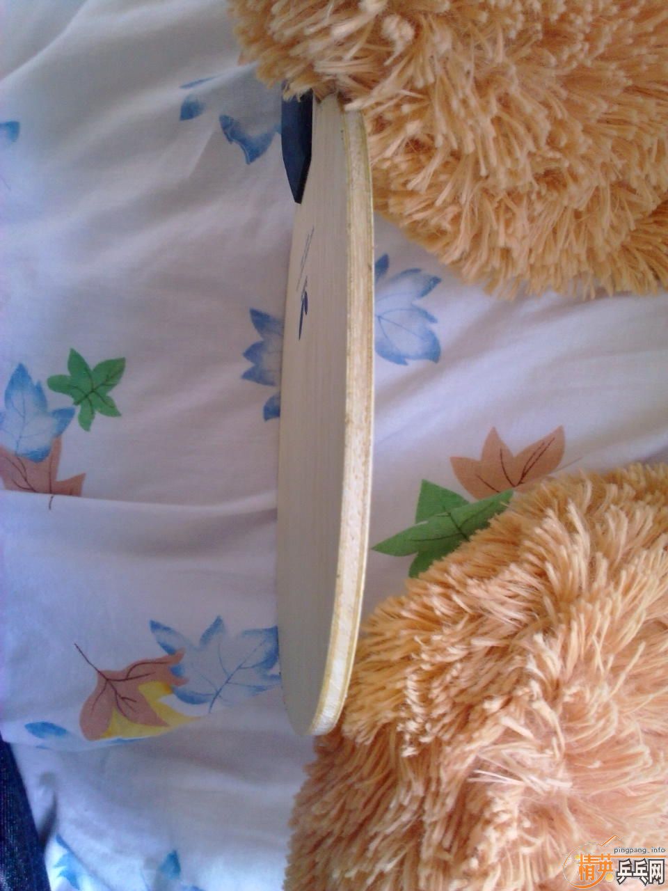 ������-ZLF-CS��