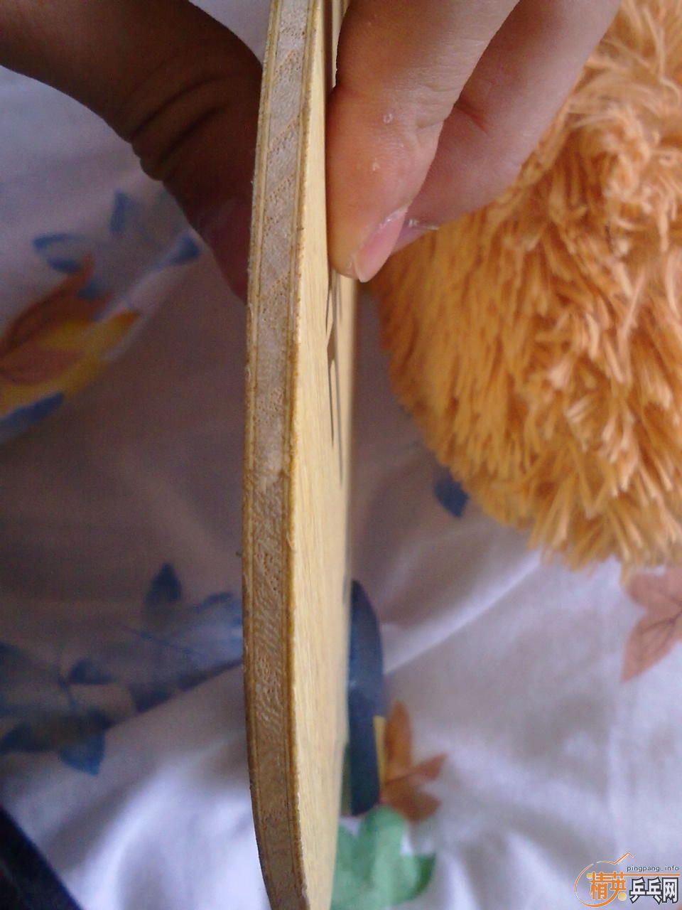 ������-ZLF-CS��