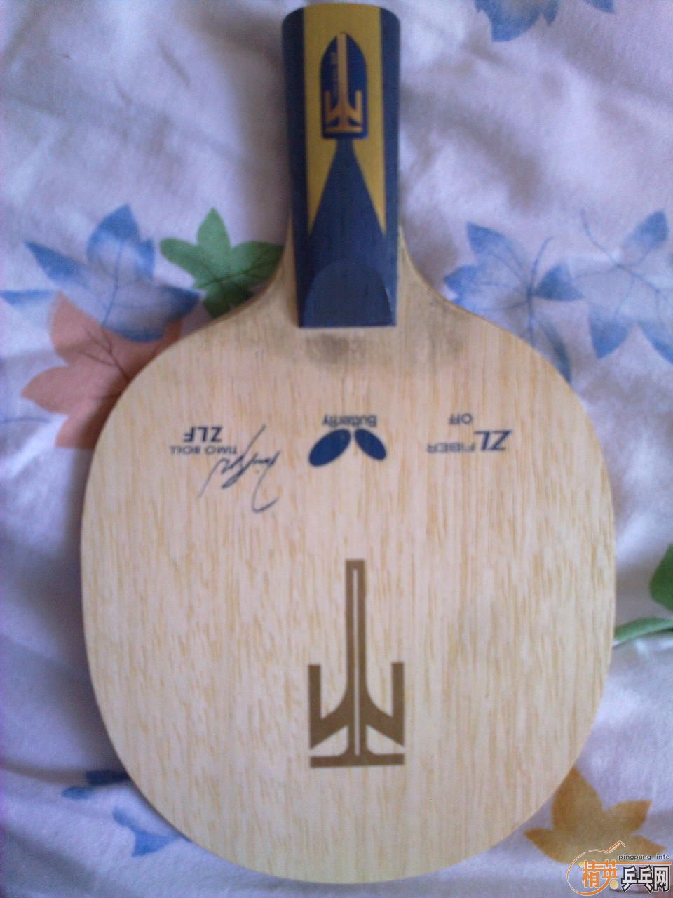 ������-ZLF-CS��