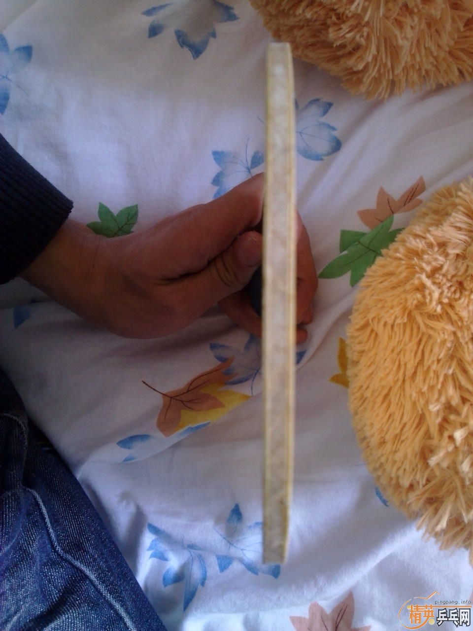 ������-ZLF-CS��