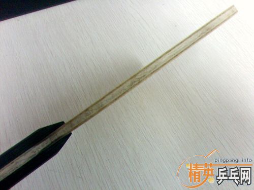 ��nittaku TENOR FL��壨����2����