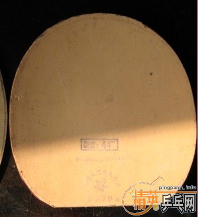 ����SRIVER -L��ɫmax 60