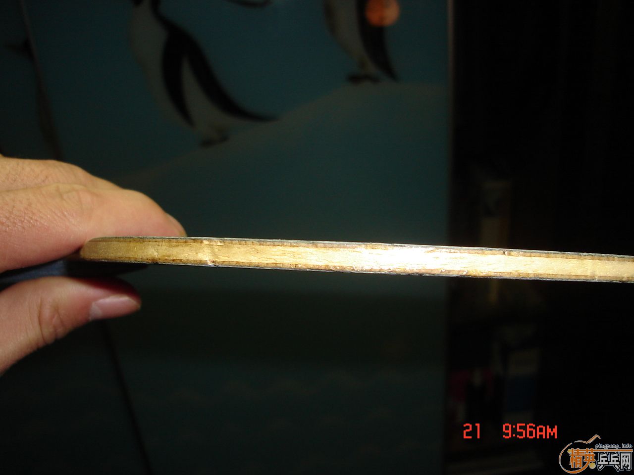 �����˳�Щ����