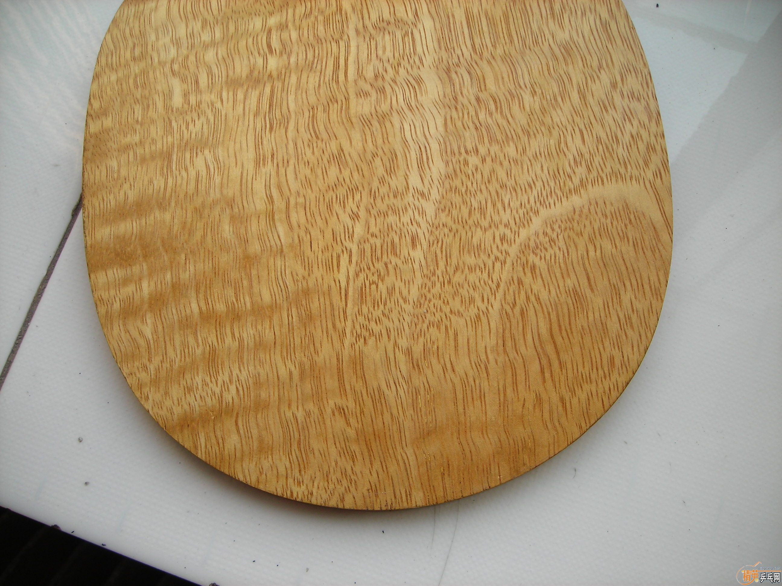 ��ͼ��100Ԫ������tc-1.