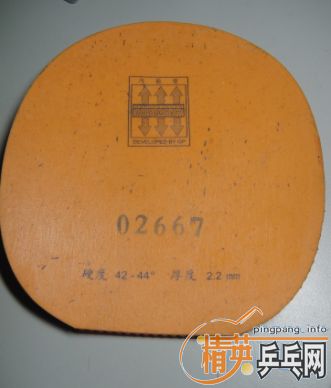 ��һ�������׽�����3��SP��ʮ�־���729-5��