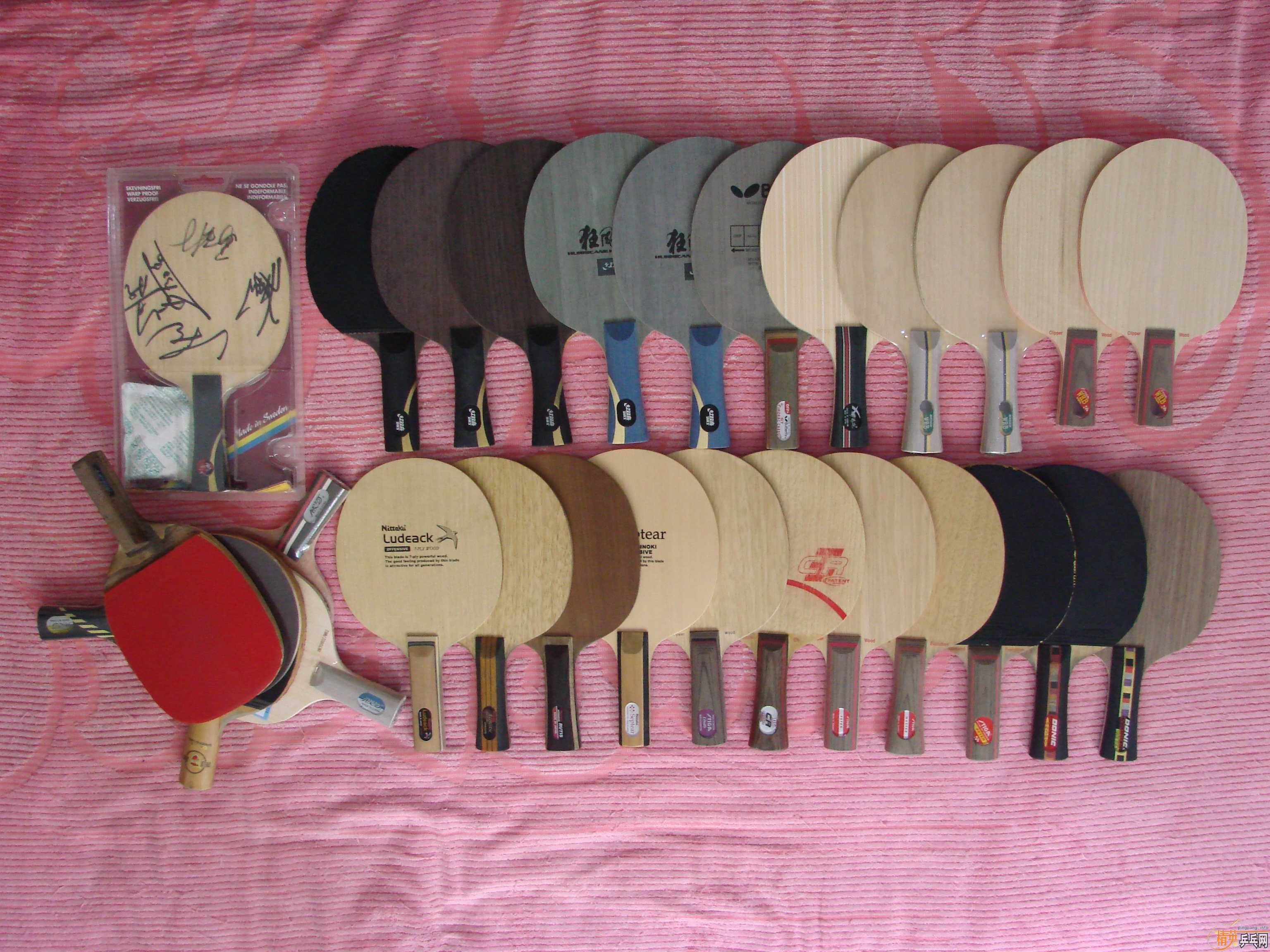 �ղصĻ�-��CL-WRB