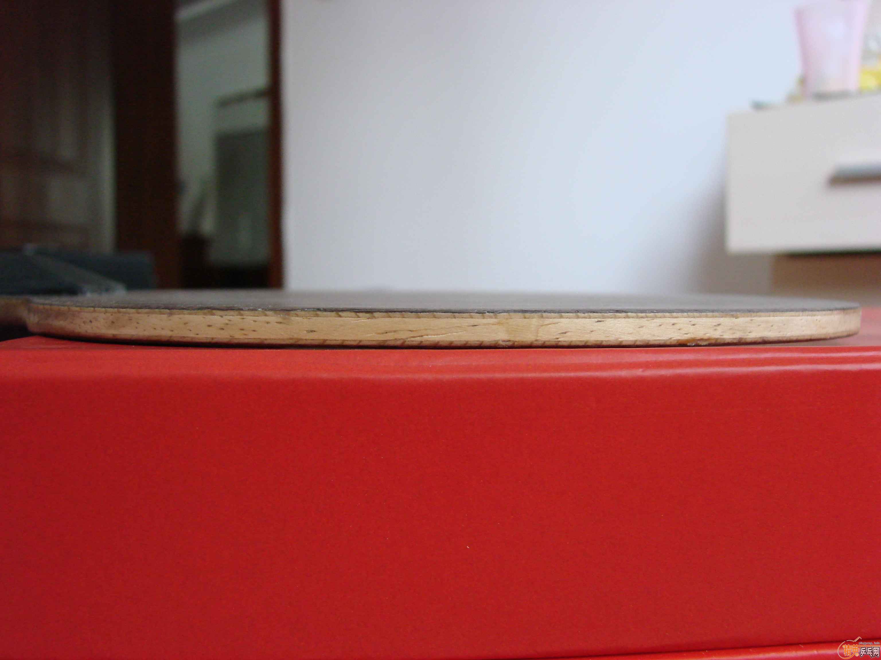 ֧������09�����ST