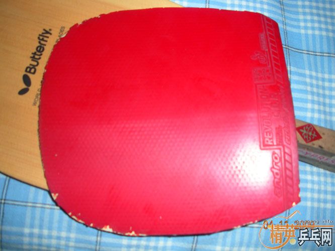 Ƭ ֱCypress-s KKT D950