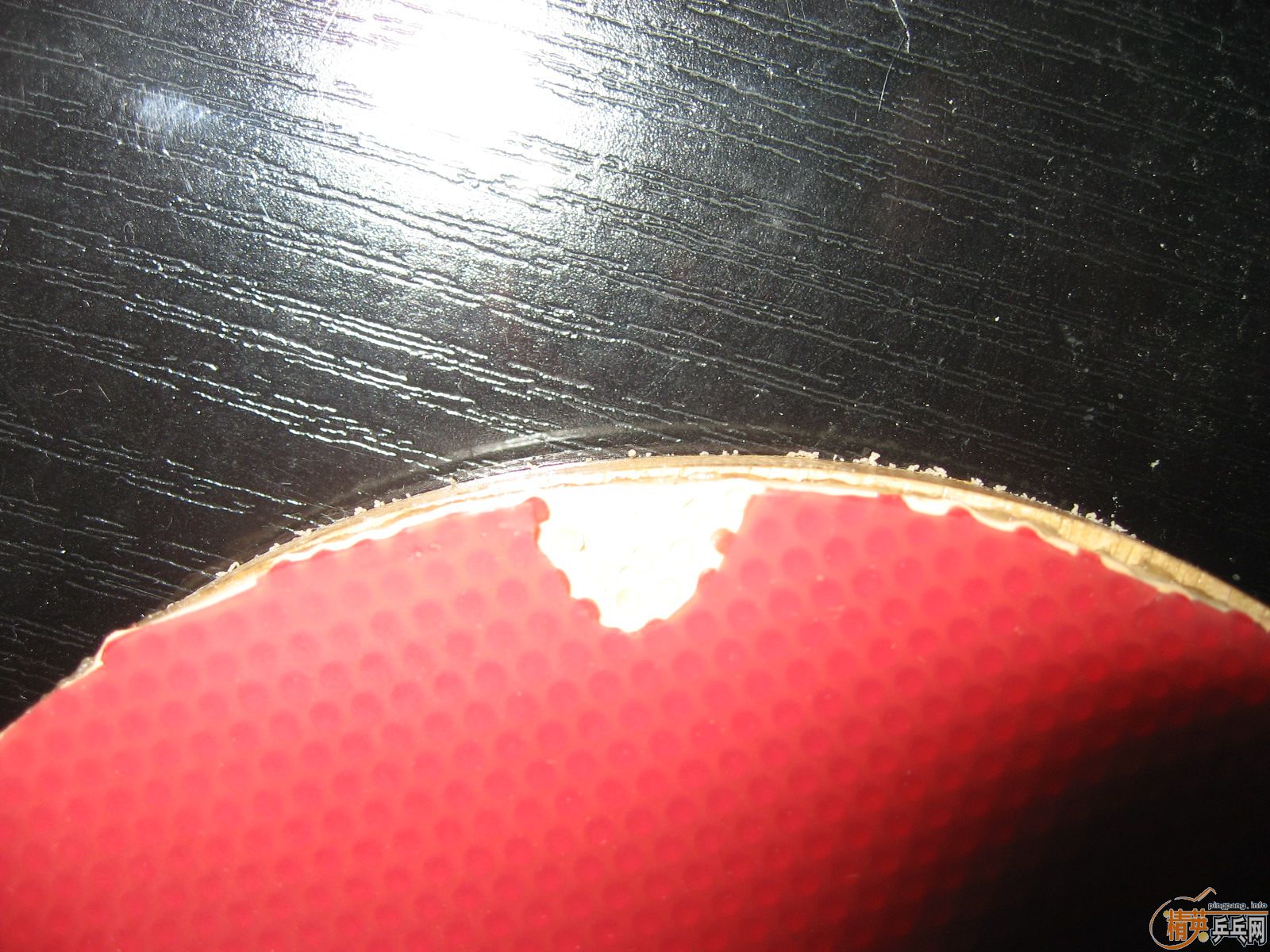 �o�� ˮ�Y�� ST 750��һ�K����VIP����EMS