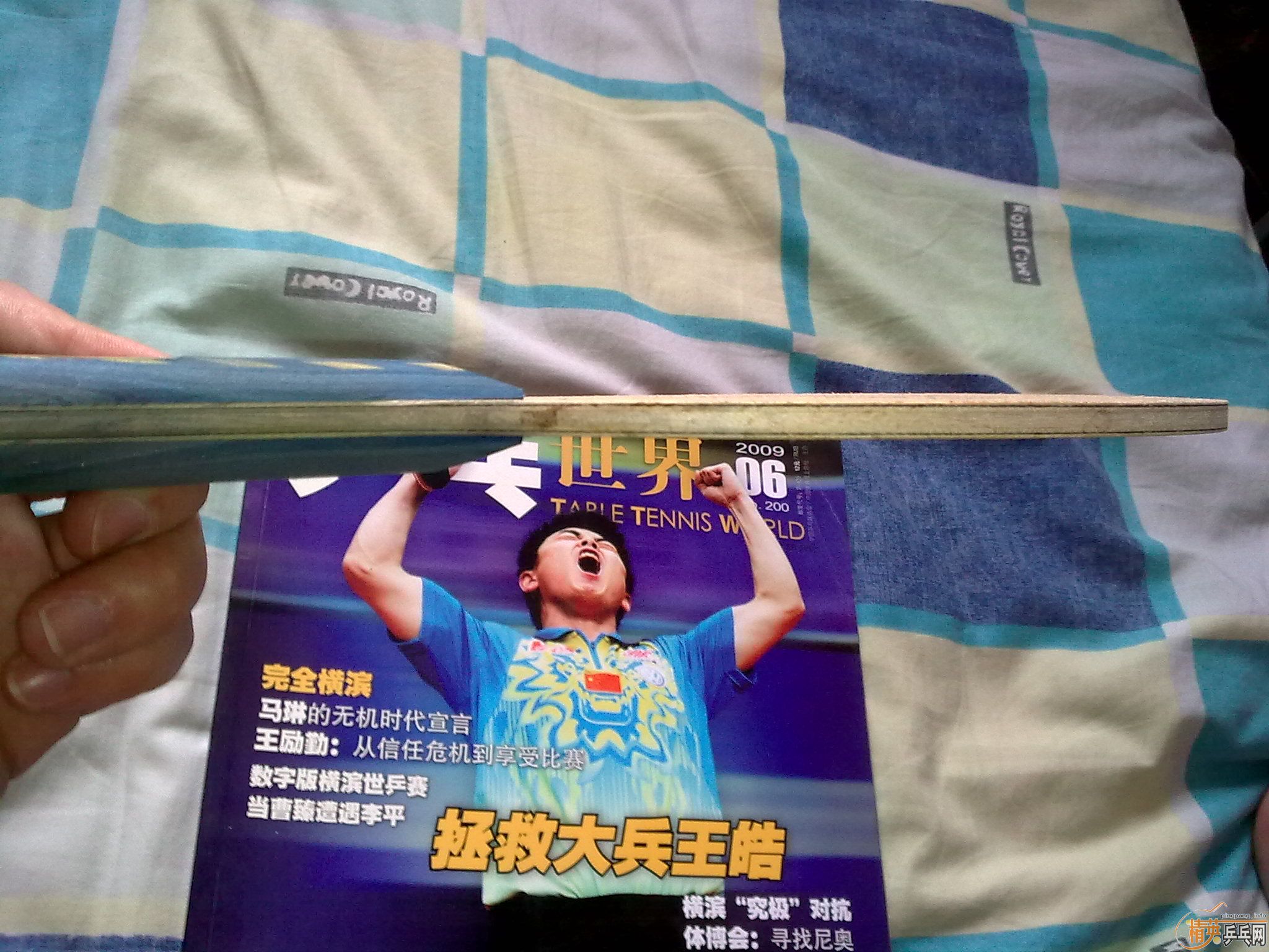 ���ֱ����ľ������Savvy����