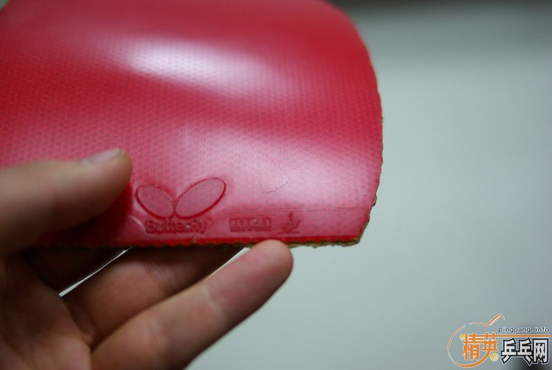 cypress s�Ӵ��  �����ϵͼ۳�