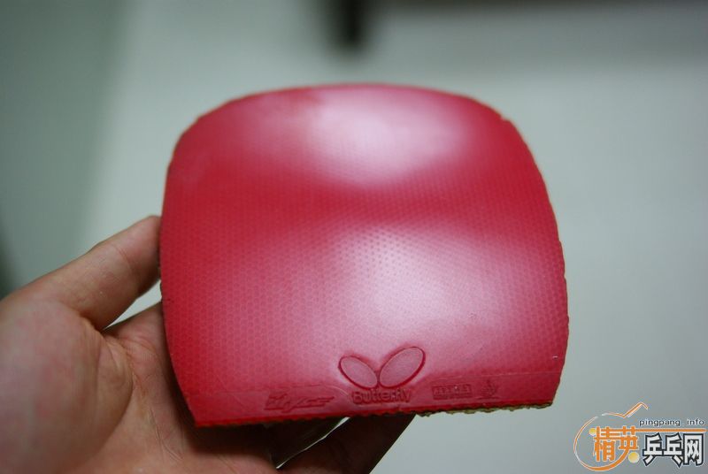 cypress s�Ӵ��  �����ϵͼ۳�