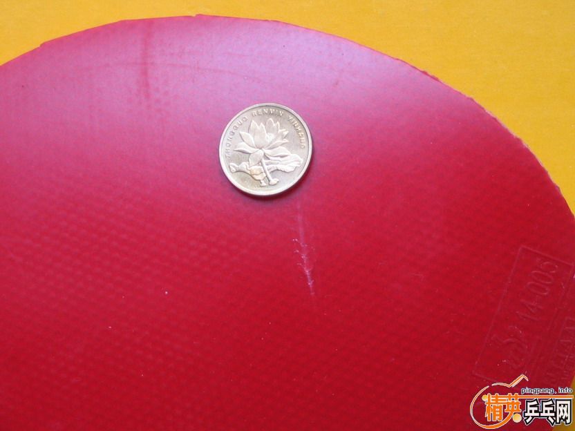 ۳ź14-005Spinart