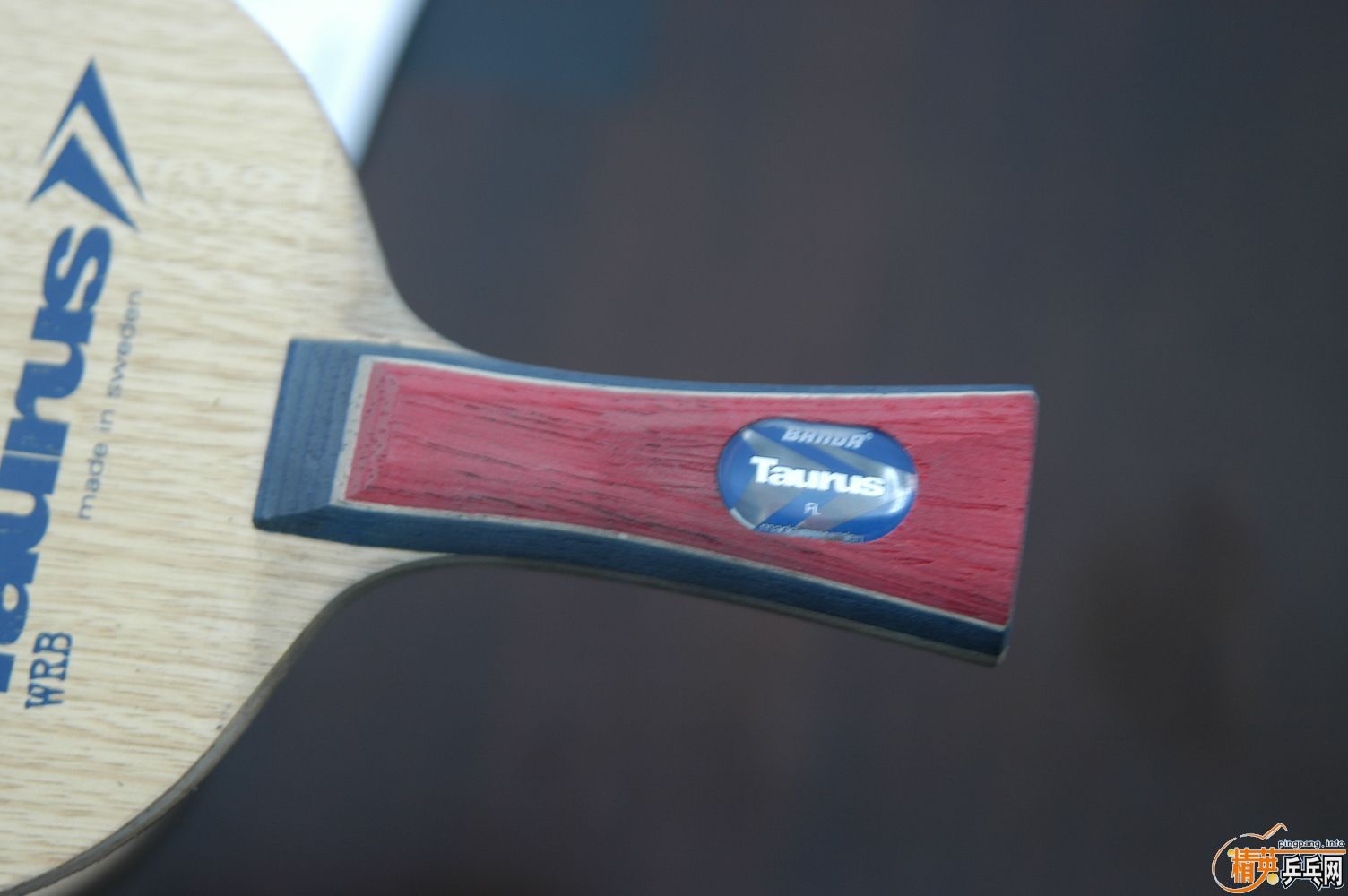 ţ��ʿ������ţ