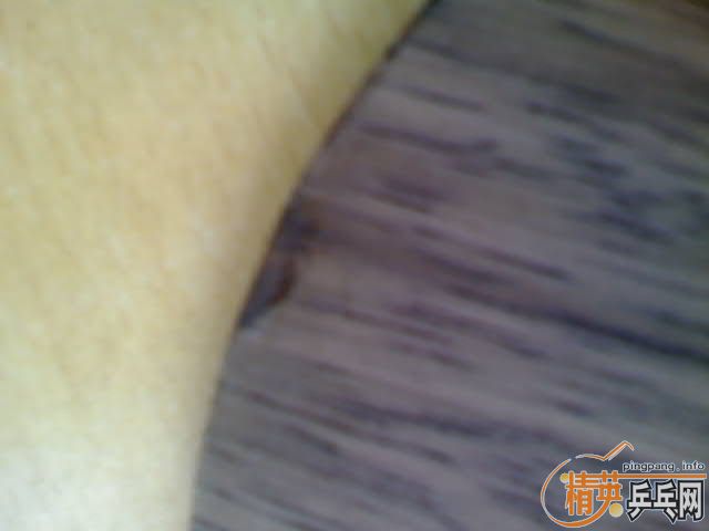 2STYASAKA YDM17ŷ棬ˮ̿7.6