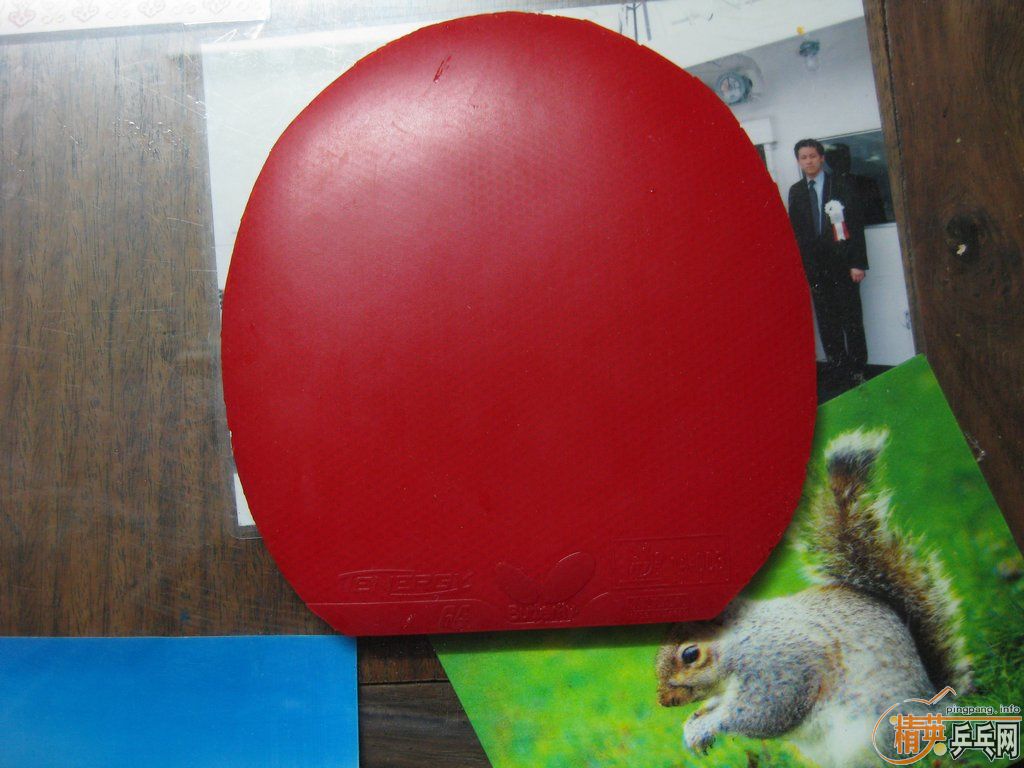 [ԭ��]֧��֧�������ͼ۳���9.5���ر�STp500һ��380Ԫ��9��T64һ��180Ԫ �����540����