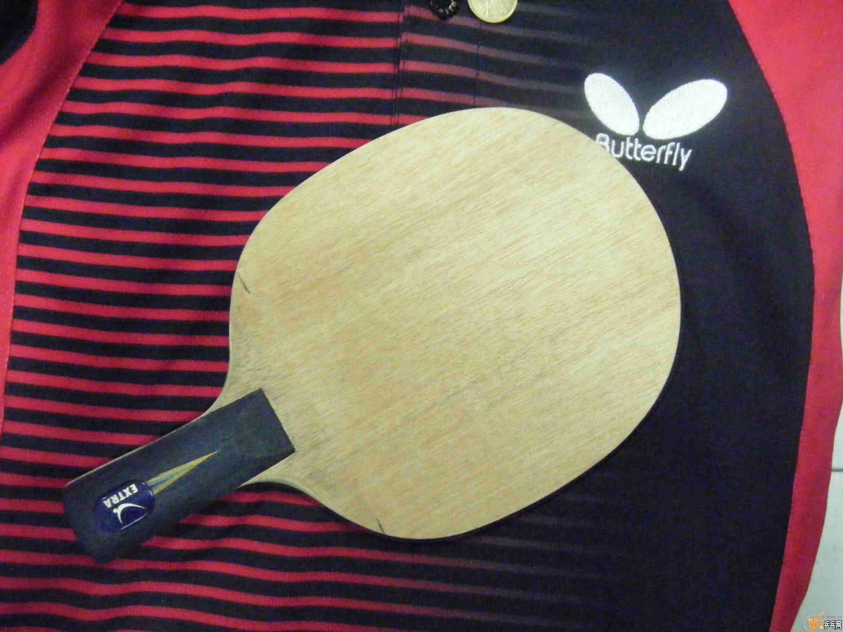 �л���������250