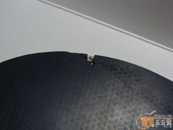 ��BRYCE SPEED FX 2.1MM/NEOʡ��39��/NEO��ɫ�տ�39��/729-08