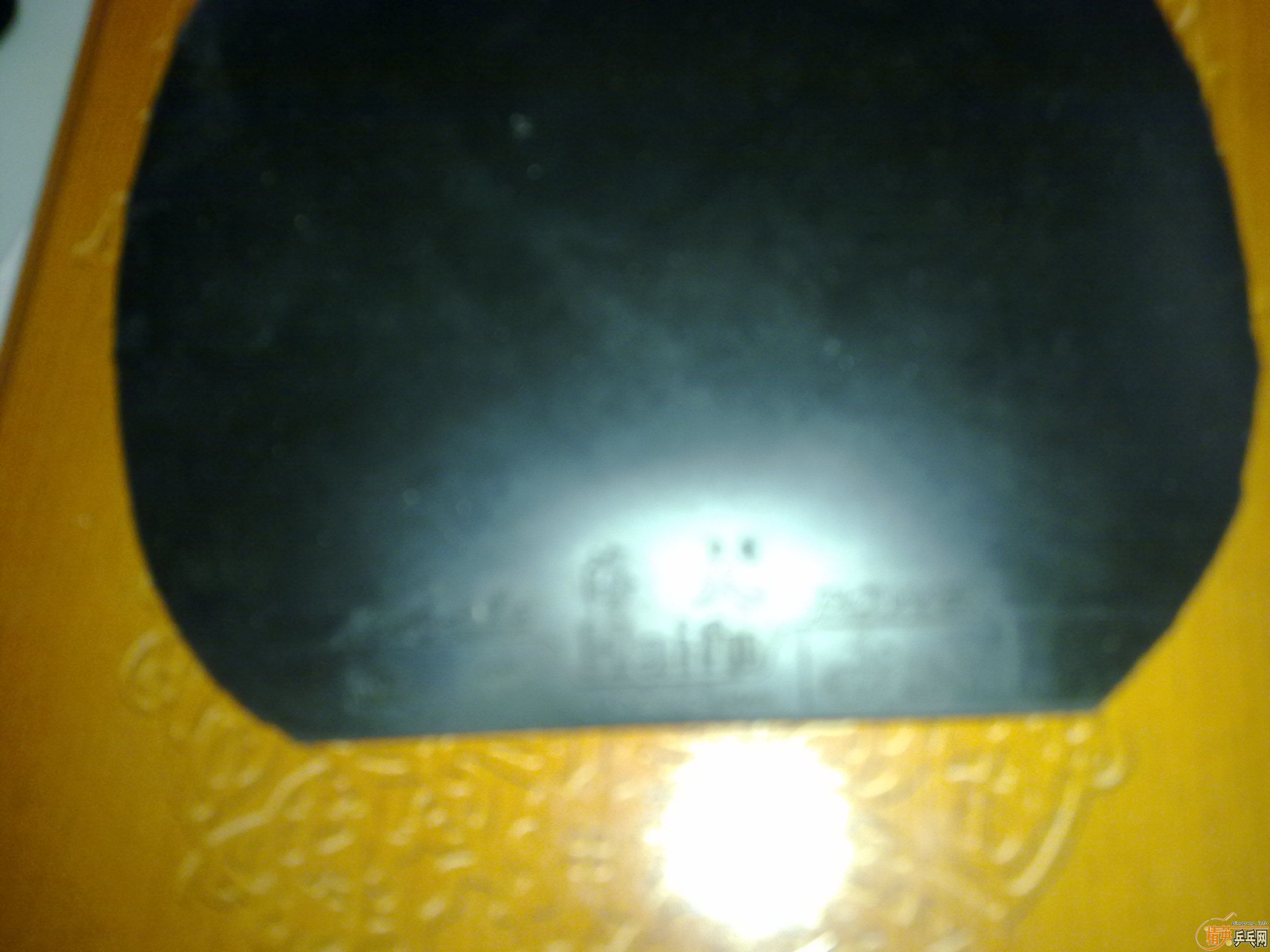 ��һ���׽�,��3,��3,g666,����jo,���speed