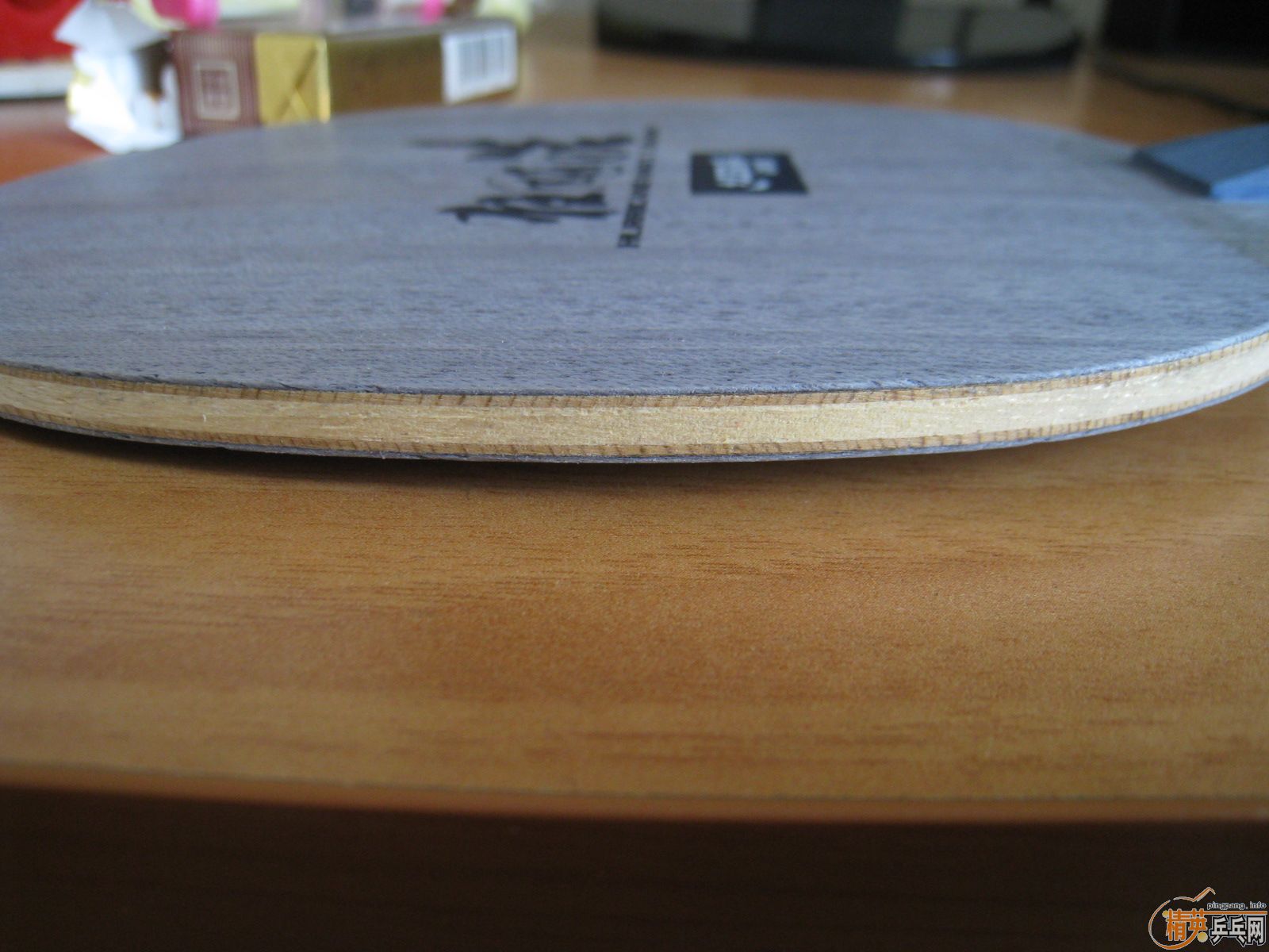 ���ٳ�һֻ��𩡿