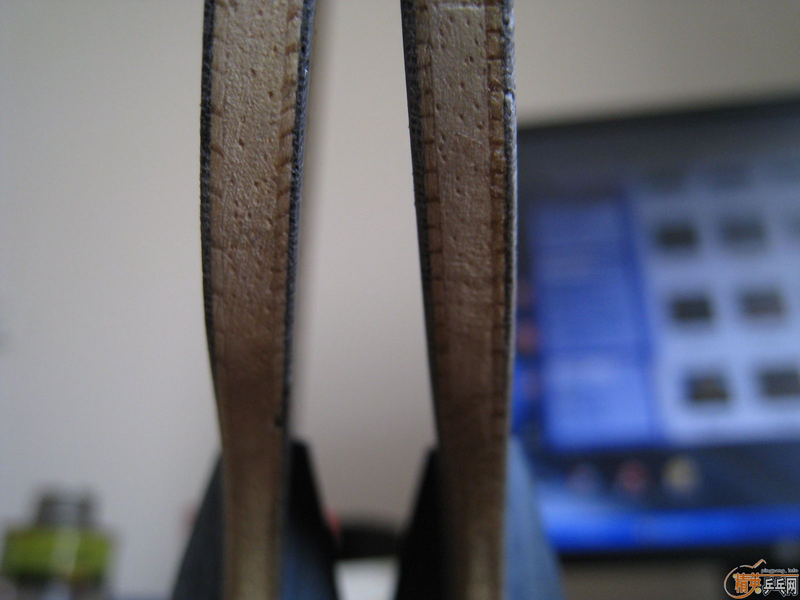 ���ٳ�һֻ��𩡿