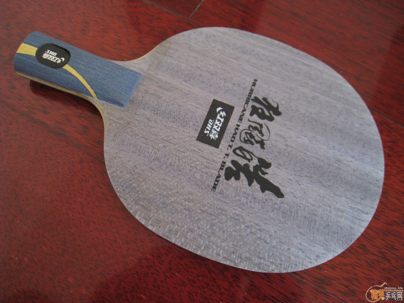 ���ٳ�һֻ��𩡿