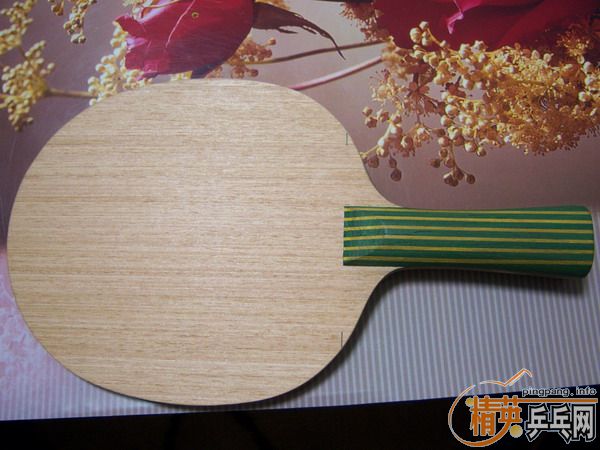 ��ͦ�η��ɱ��FL