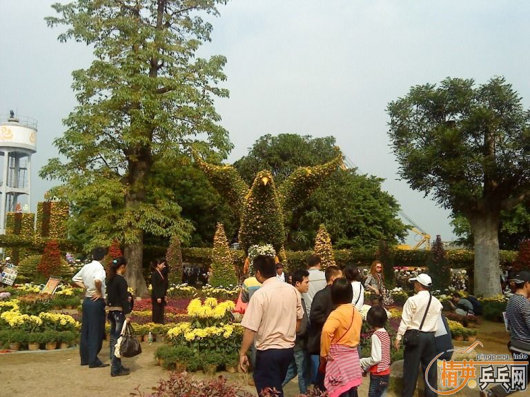 91edg263.jpg