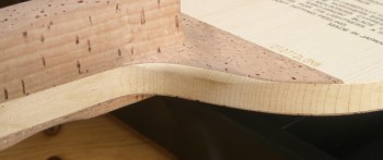 ���գ�580Ԫ���ʳ�һ���ձ����غ�����ֱ����һ��Ƥ����ֻ���һ��Ŷ��ֻ����֧����