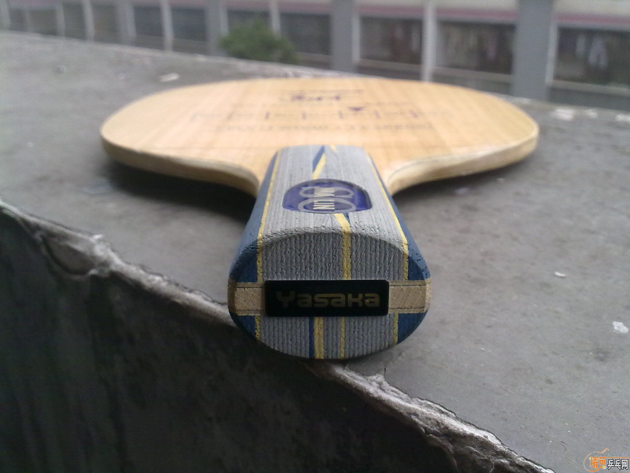 ��һֻ�ù����ε��հ�����̼  500����