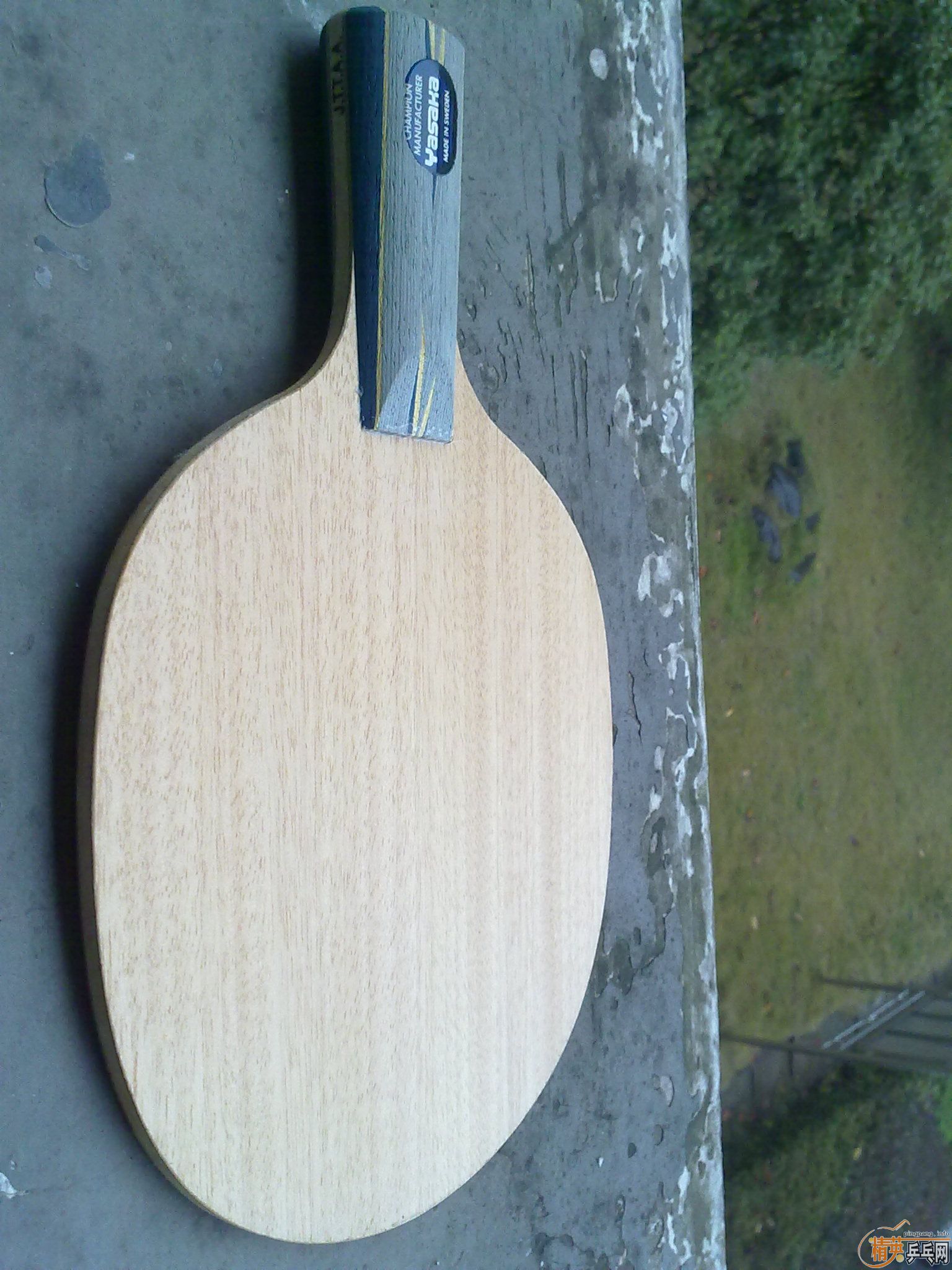 ��һֻ�ù����ε��հ�����̼  500����