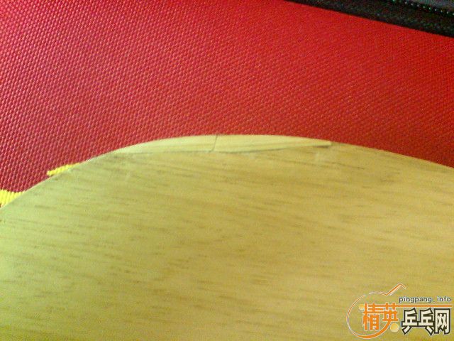 �����Ա��ٻ��������������ϻ� ��CL