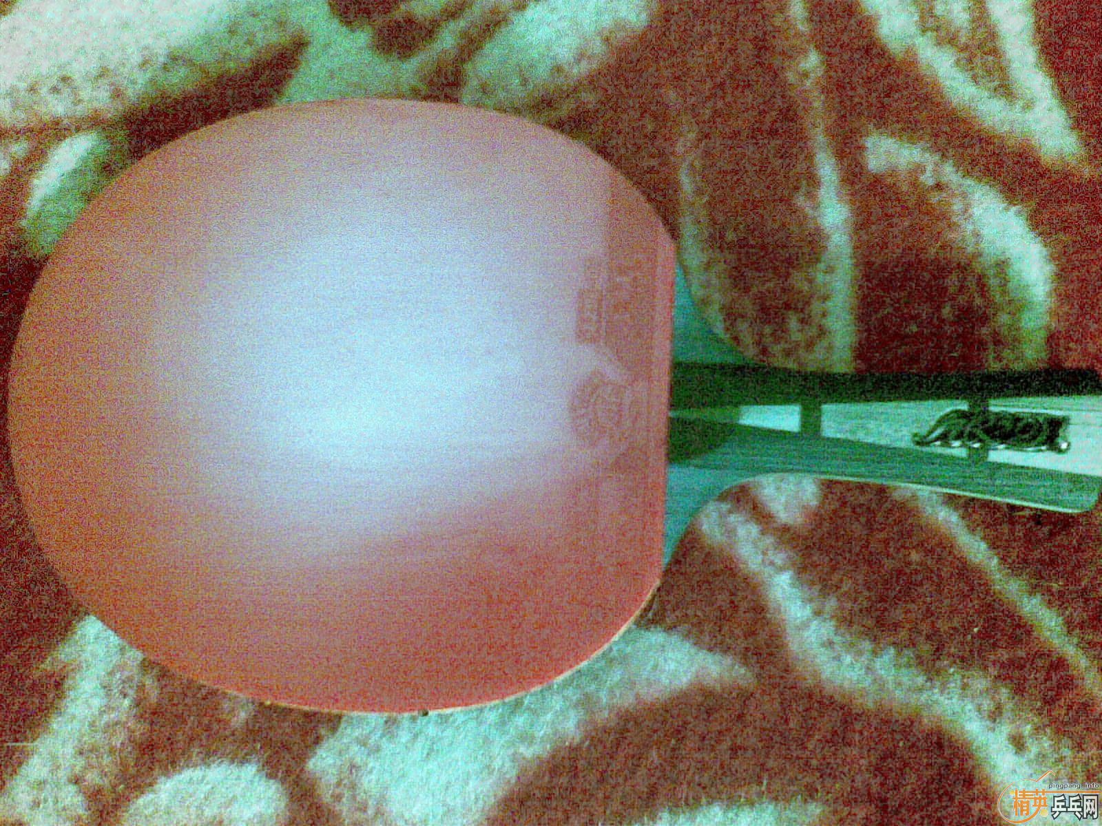 ��֧��֧���������˳����ӵװ��Լ������׽�