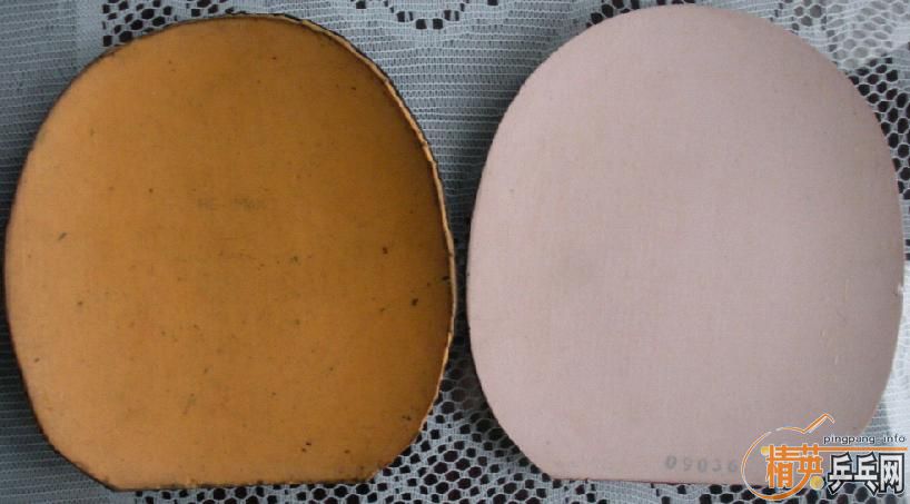 729  ���� M2000 SRIVER EL�ȱ�����