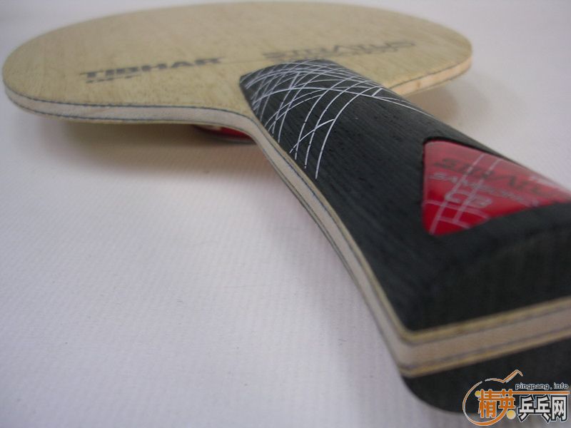 ת��AN����ķ��ά��֩��������800��˳��