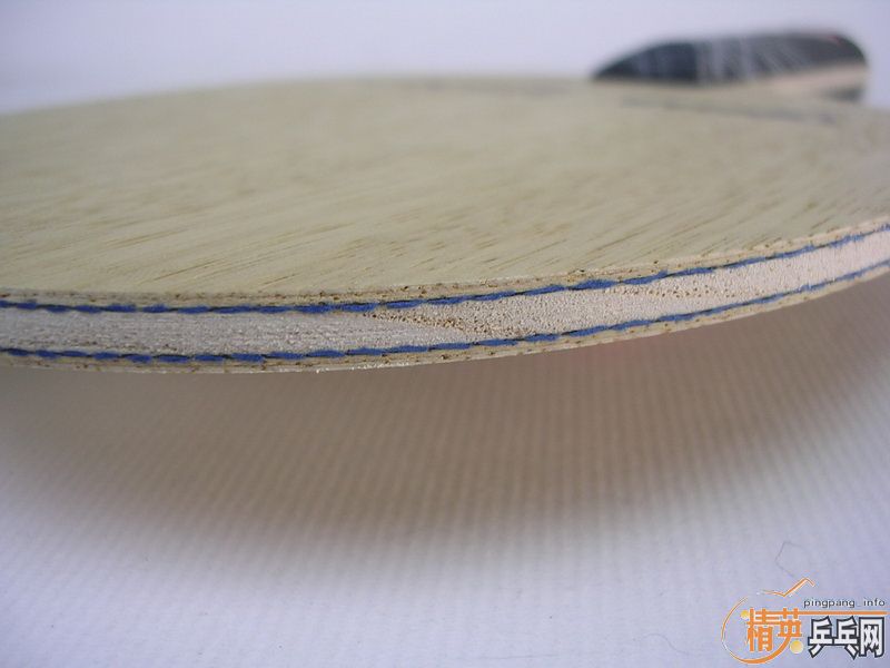 ת��AN����ķ��ά��֩��������800��˳��