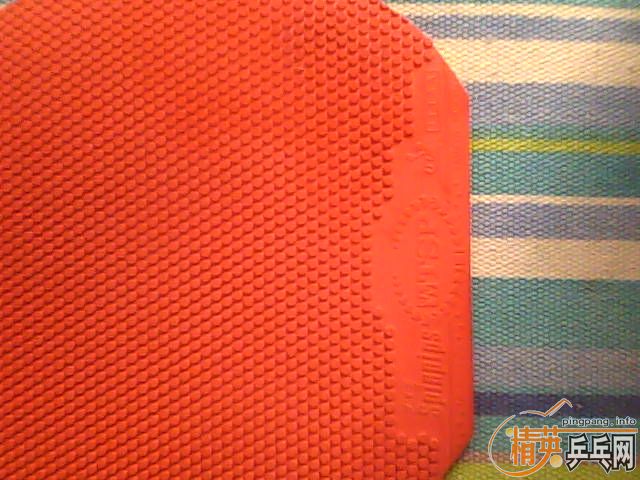 ��TSP�����׽�