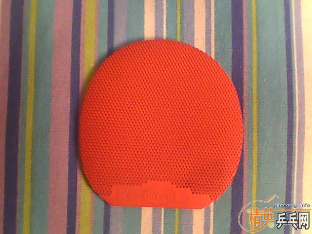 ��TSP�����׽�